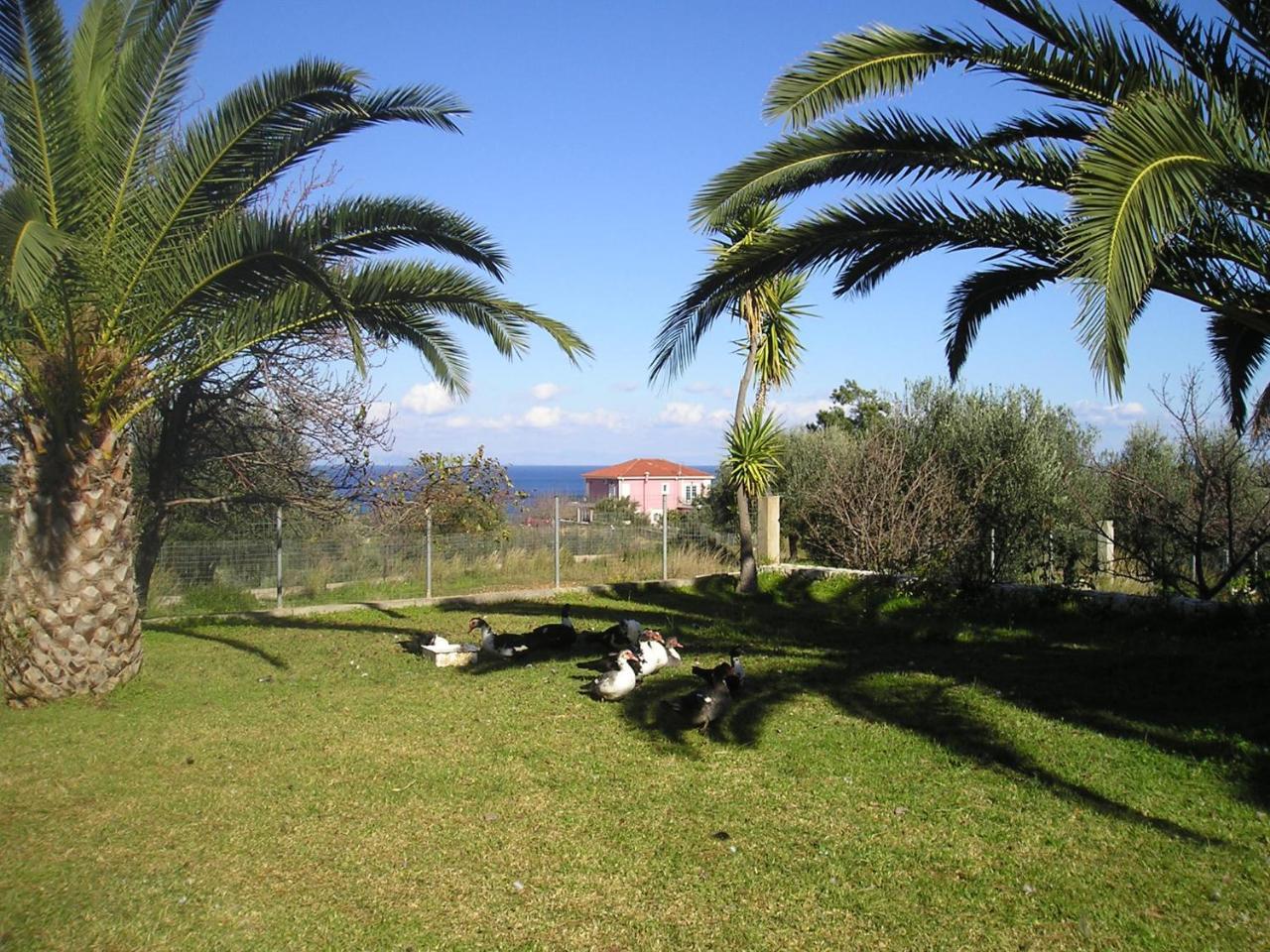 Nikolaos Studios Skala Skala  Luaran gambar